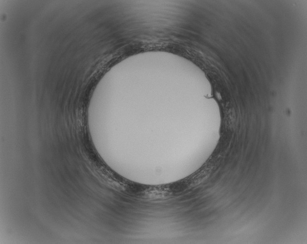 X0000072970756200608211321