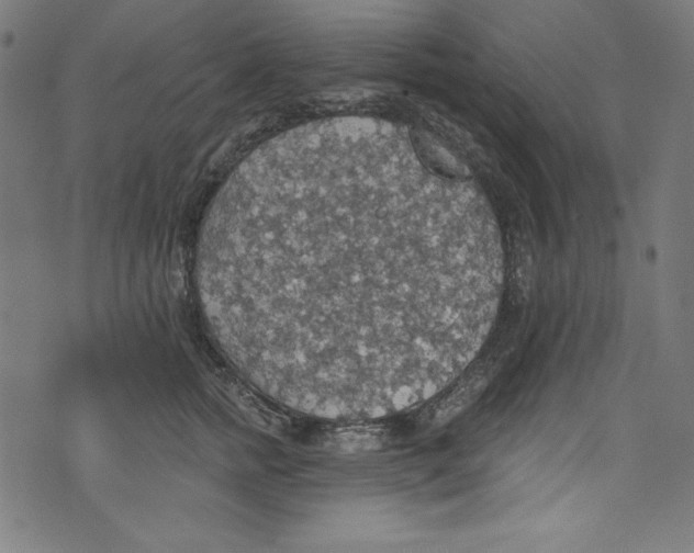 X0000072970758200608211321