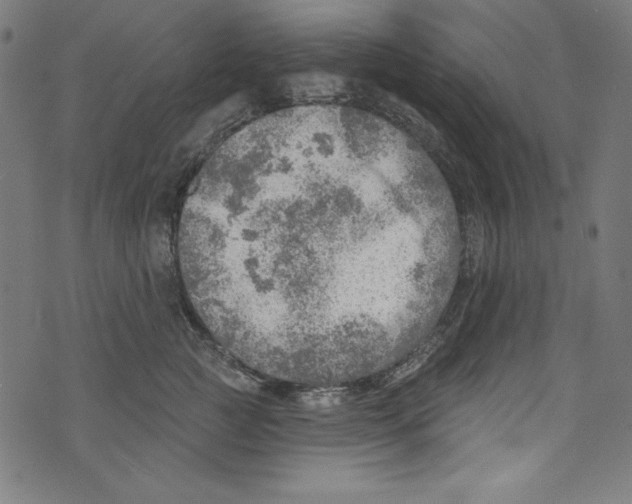 X0000072970761200608211321