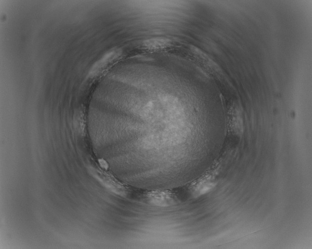 X0000072970762200608211322