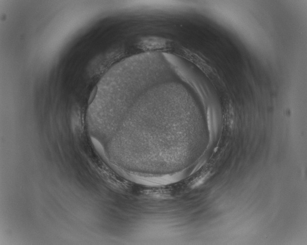 X0000072970763200608211322