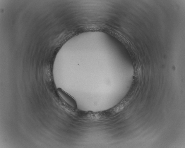 X0000072970764200608211322