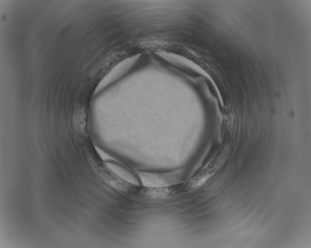 X0000072970767200608211322