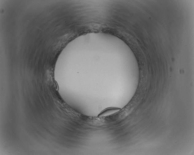 X0000072970768200608211322