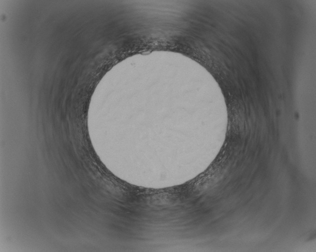 X0000072970769200608211321