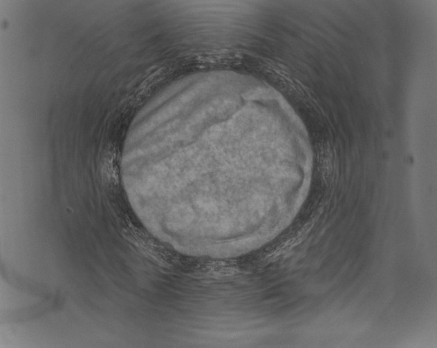 X0000072970770200608211321