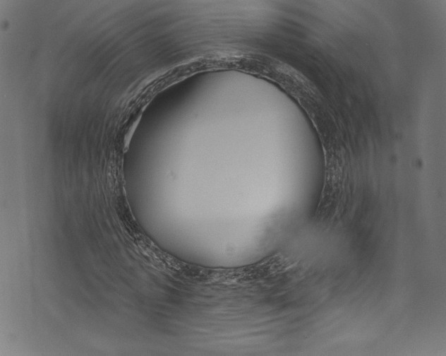 X0000072970773200608211321