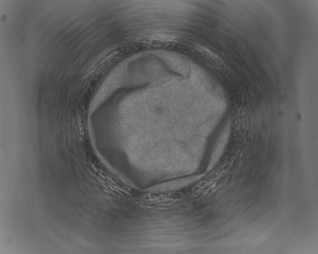 X0000072970774200608211321