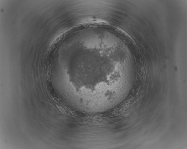 X0000072970775200608211321