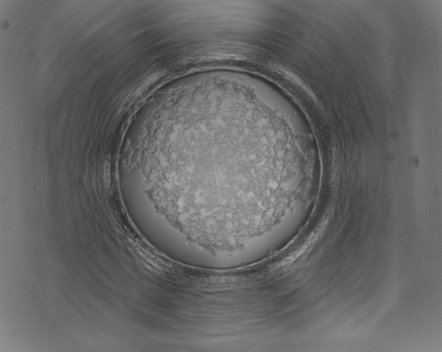 X0000072970777200608211321