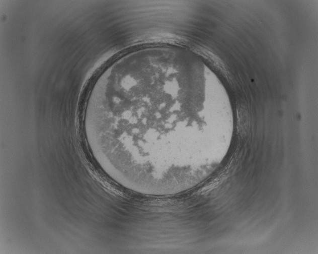 X0000072970780200608211321