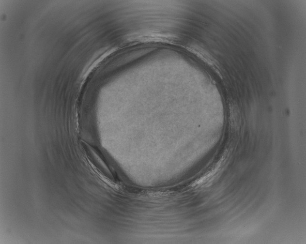 X0000072970782200608211321