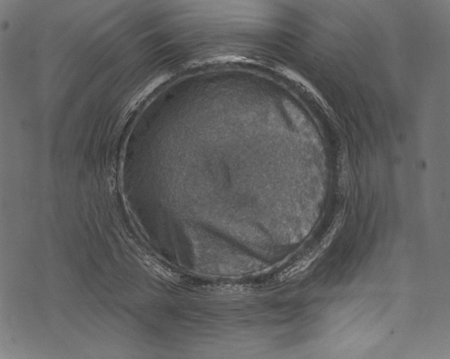 X0000072970785200608211321