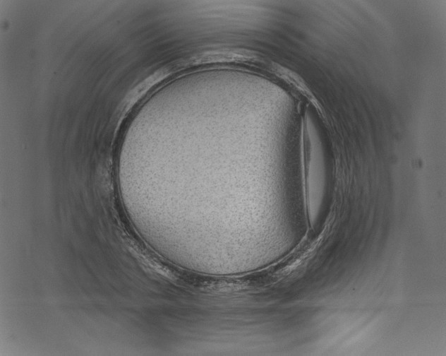 X0000072970786200608211321