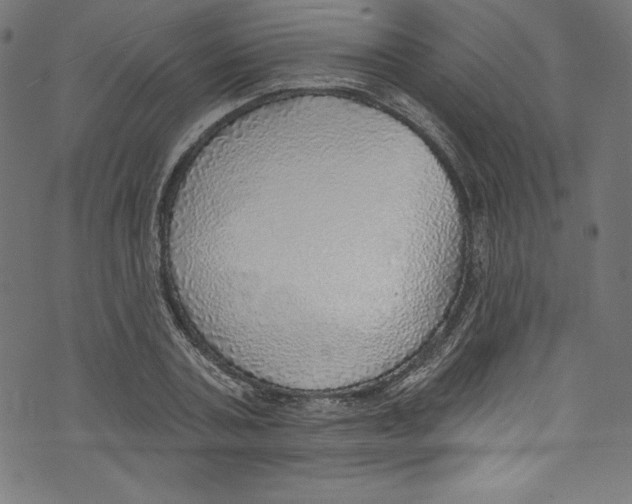 X0000072970787200608211321