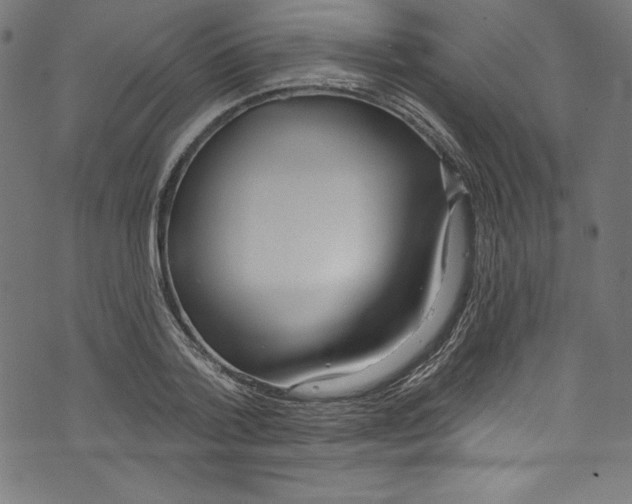 X0000072970788200608211321