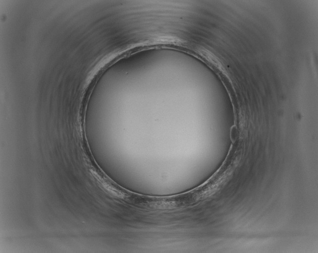 X0000072970789200608211321