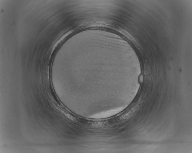 X0000072970790200608211320