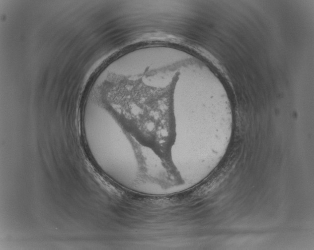 X0000072970791200608211320