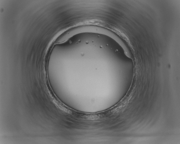 X0000072970792200608211320