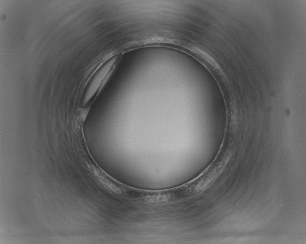 X0000072970793200608211320