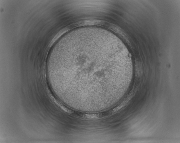 X0000072970794200608211320