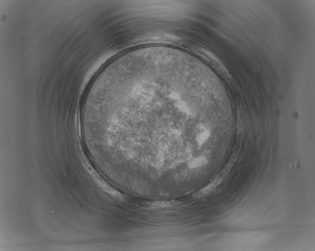 X0000072970796200608211320