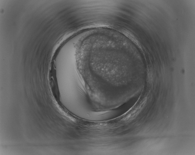 X0000072970797200608211320