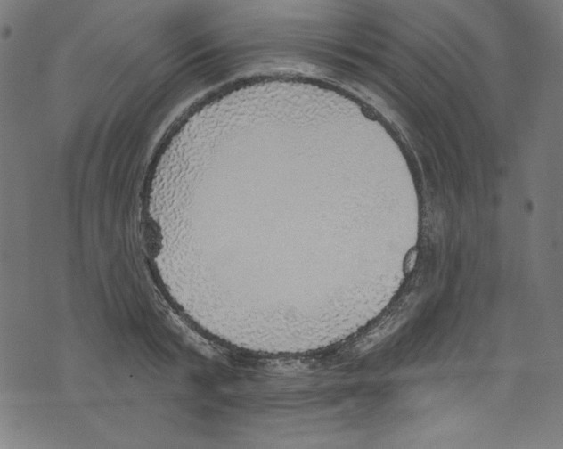 X0000072970799200608211320