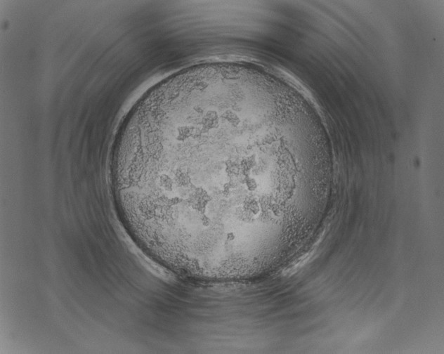 X0000072970803200608211320