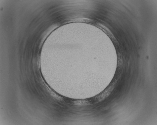 X0000072970804200608211320