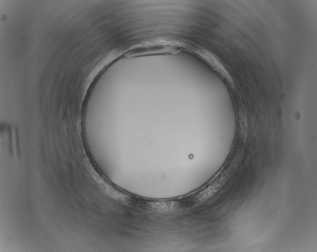 X0000072970805200608211320