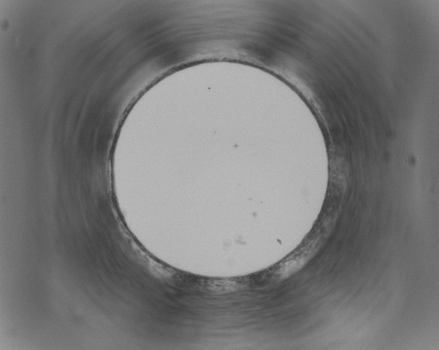 X0000072970807200608211320