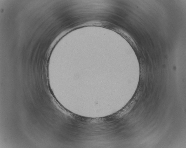 X0000072970808200608211320