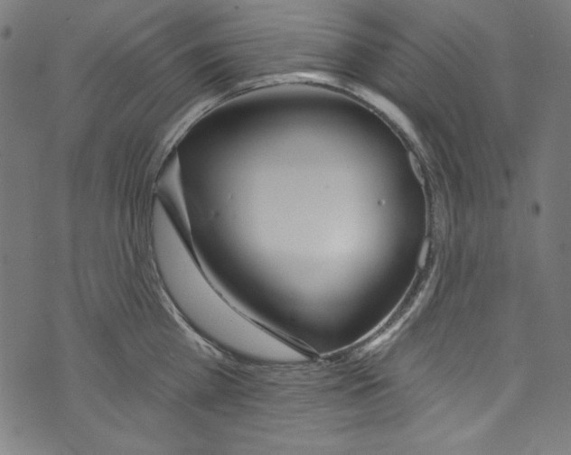 X0000072970809200608211320