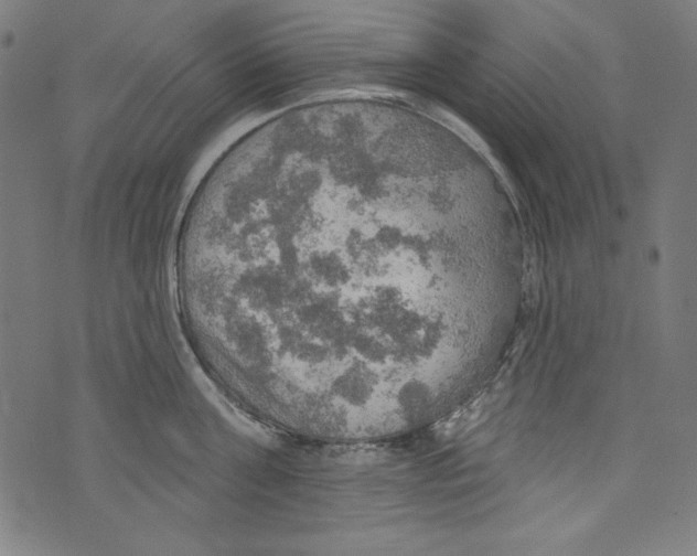 X0000072970811200608211320