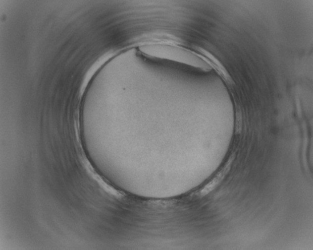 X0000072970812200608211320