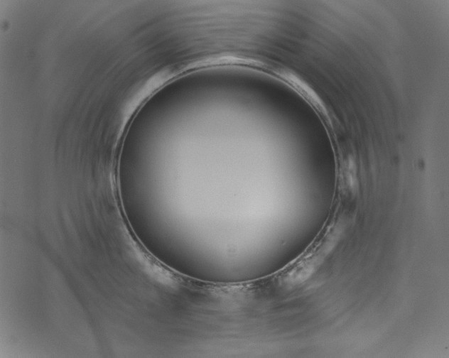 X0000072970813200608211320