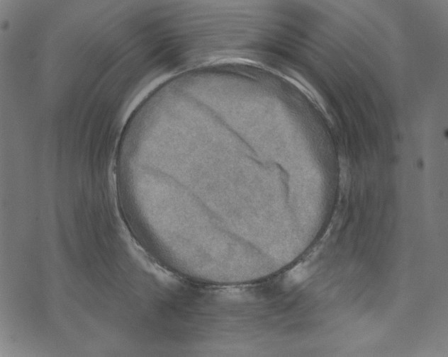 X0000072970814200608211320