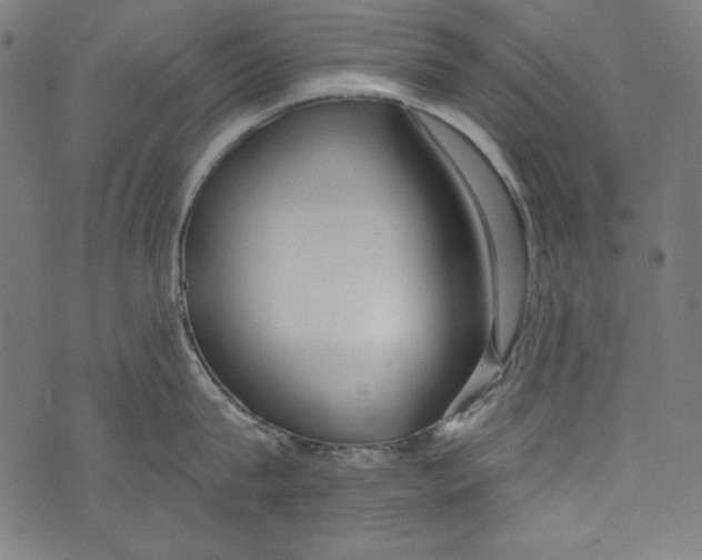 X0000072970815200608211320