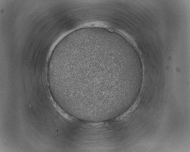 X0000072970816200608211320