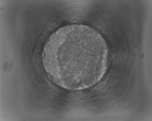 X0000072970817200608211319