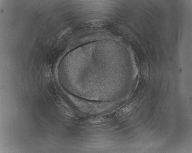 X0000072970818200608211319