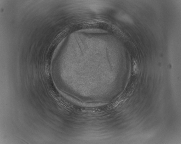 X0000072970819200608211319