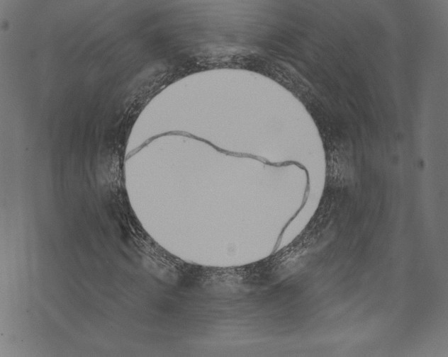 X0000072970820200608211319