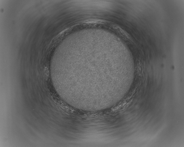 X0000072970821200608211319