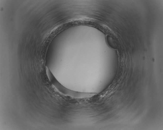 X0000072970822200608211319