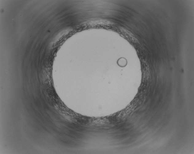 X0000072970824200608211319