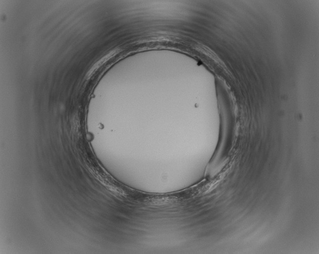 X0000072970826200608211319