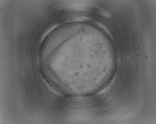 X0000072970827200608211319